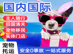 兰州机场空运国际宠物托运 【国